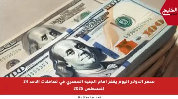 سعر الدولار اليوم يقفز أمام الجنيه المصري في تعاملات الأحد 24 أغسطس 2025